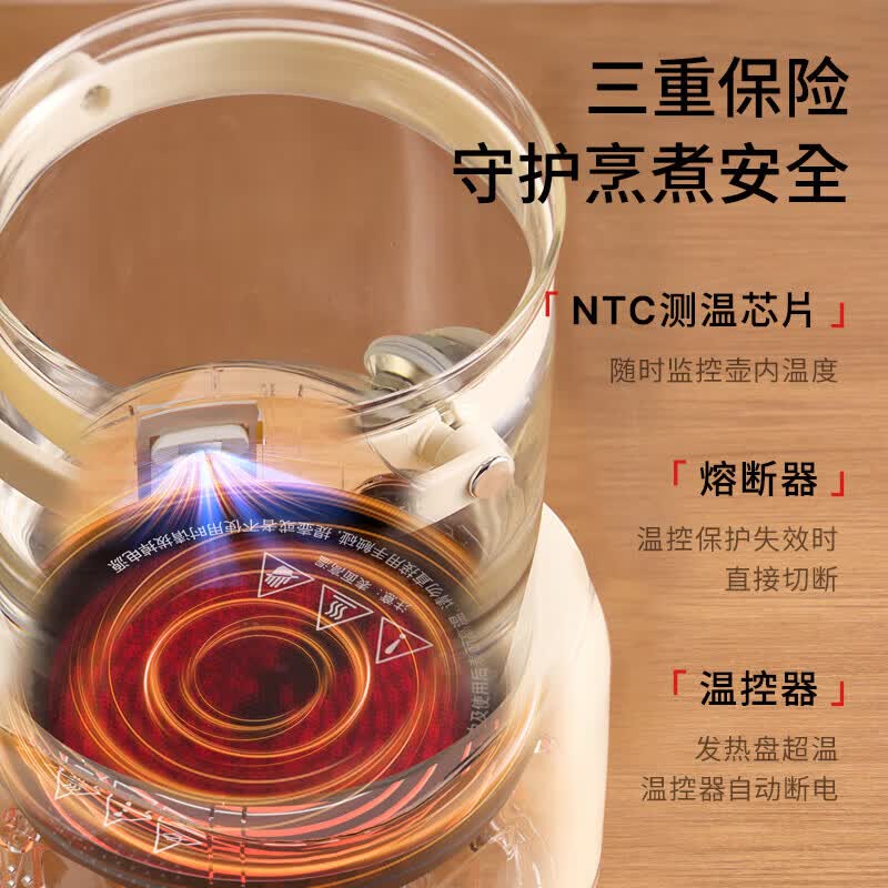 APIXINTLJQ-B01养生壶图片