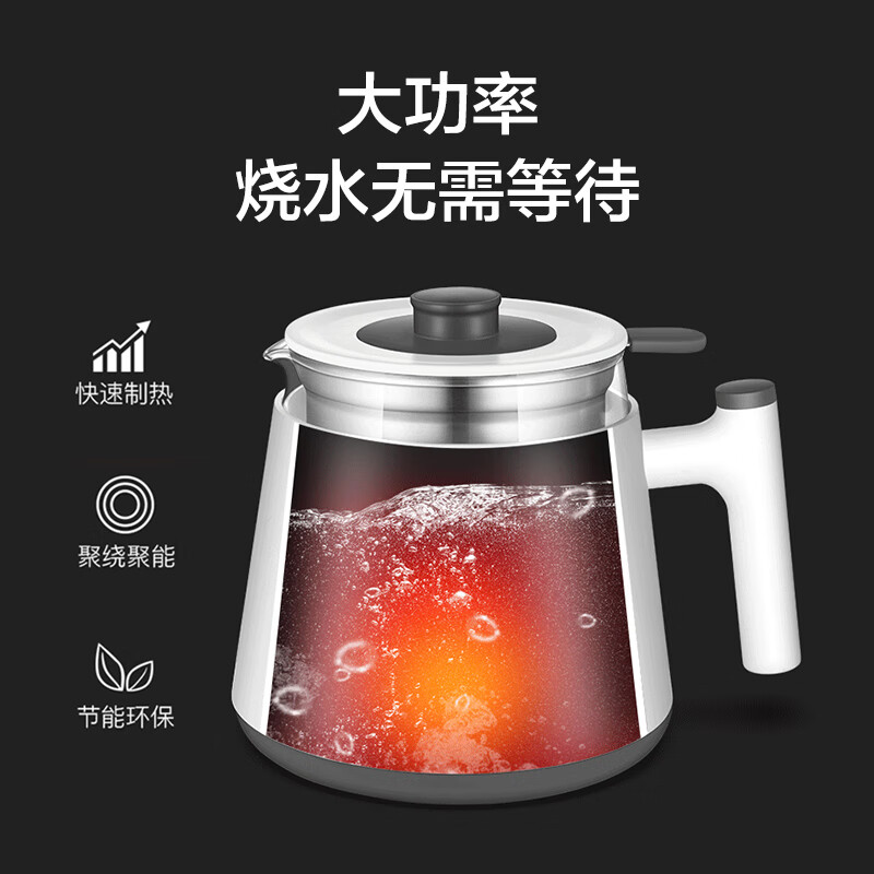 生活元素I19养生壶图片