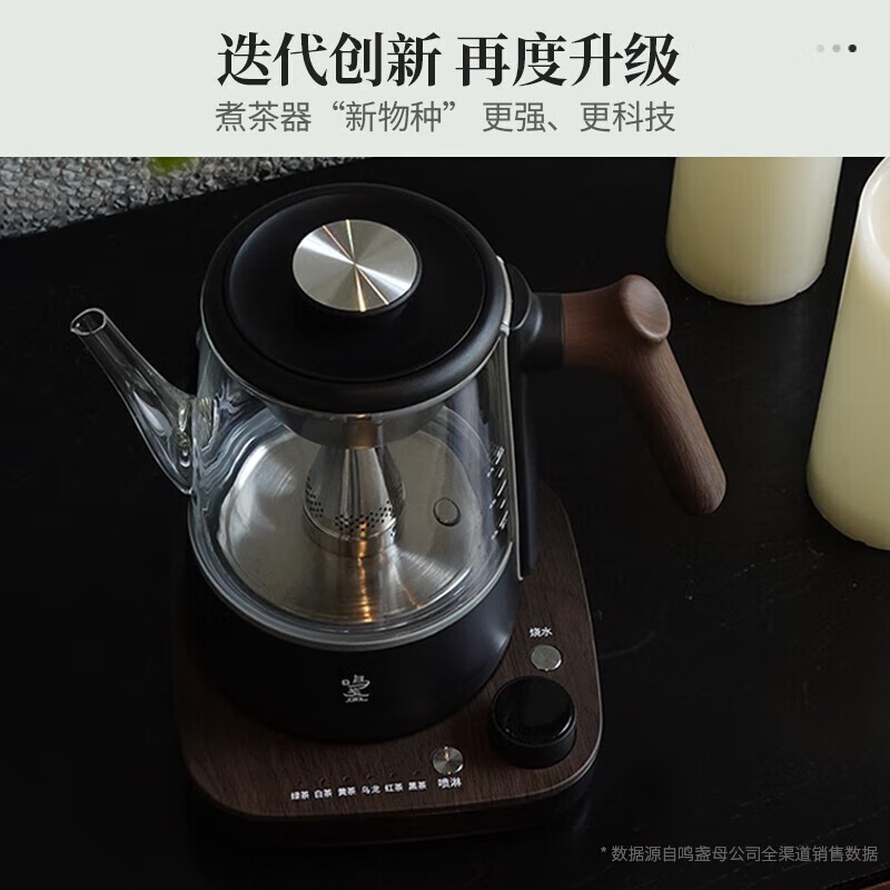 鸣盏MZ102养生壶图片