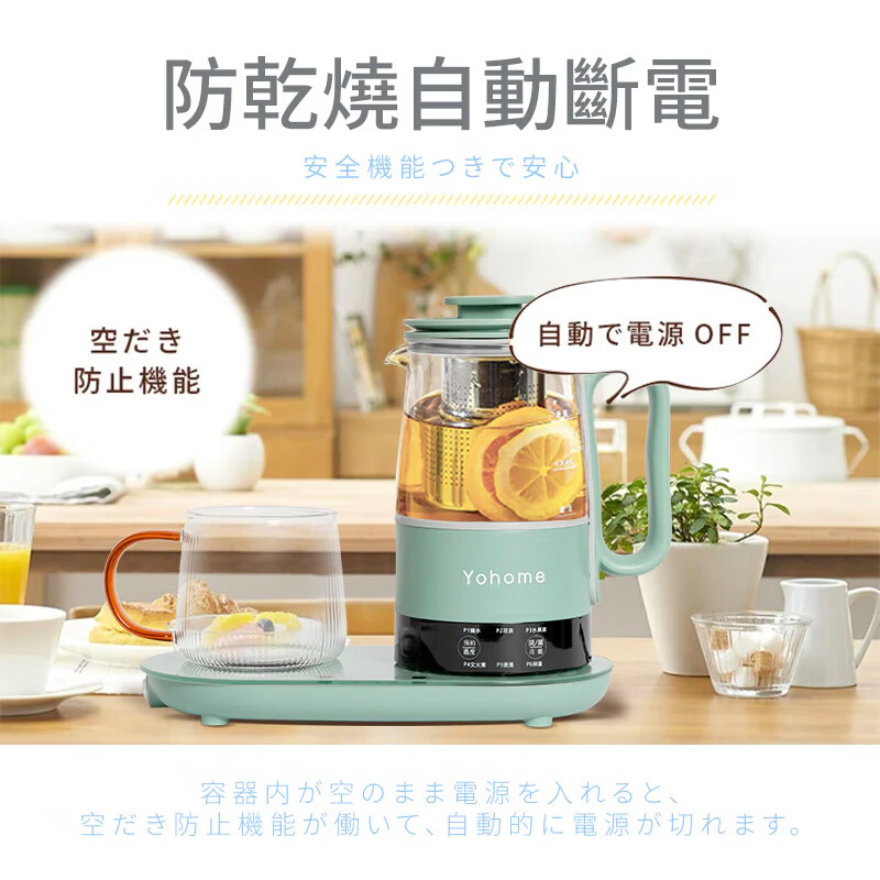 家の逸YH-002养生壶图片