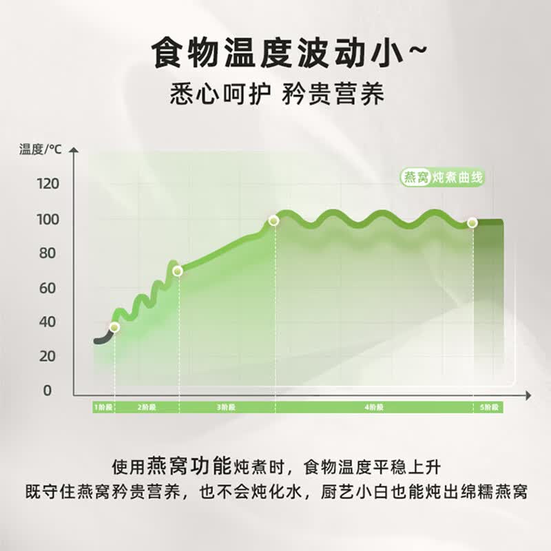志高BG-YSB202养生壶图片