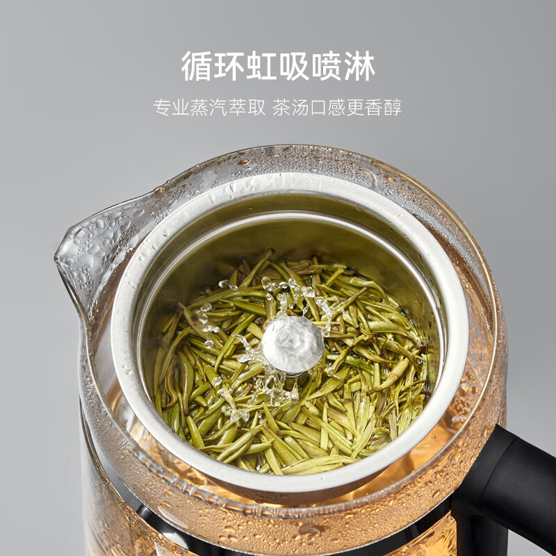 苏泊尔SW-12C10养生壶图片
