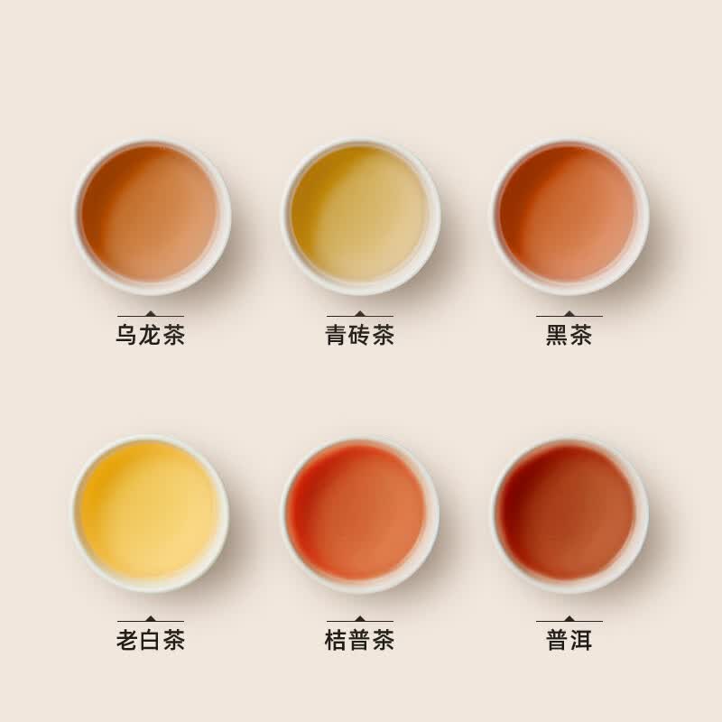 小熊ZCQ-A05S1养生壶图片