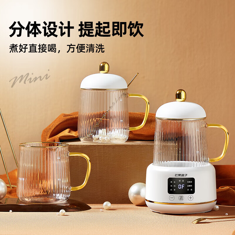 生活元素I161养生壶图片