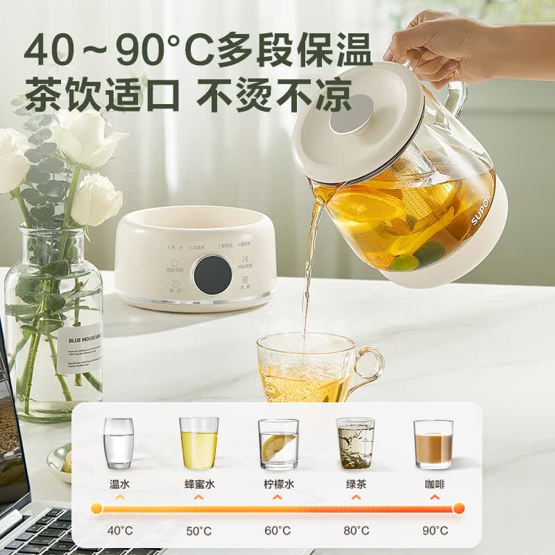 苏泊尔SW-10Y04养生壶图片