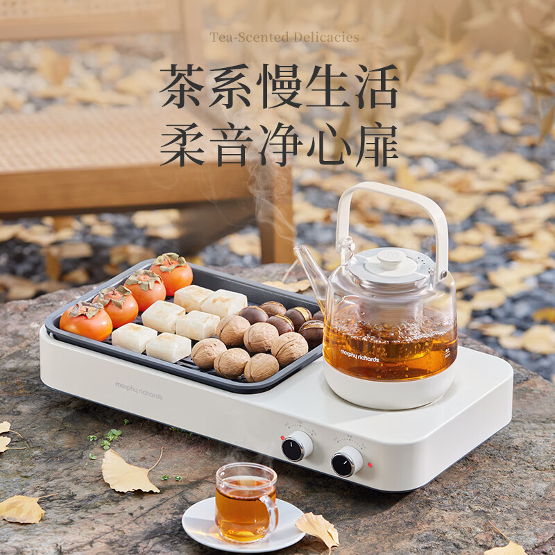 摩飞MR6093养生壶图片