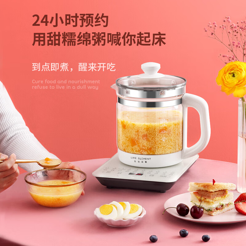 生活元素D51养生壶图片
