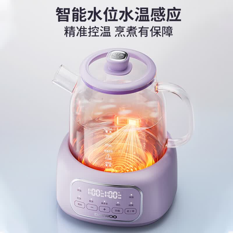 大宇DY-YS14A养生壶图片