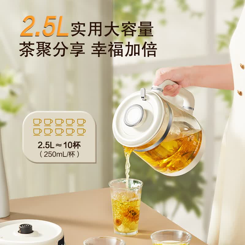 荣事达YSH25E养生壶图片