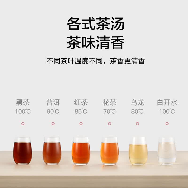 生活元素I38养生壶图片