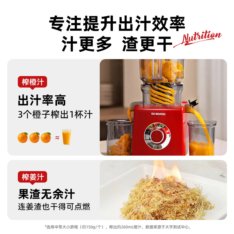 大宇YZ01立式原汁机图片