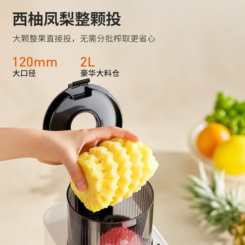 九阳Z12-LZ665无网原汁机图片