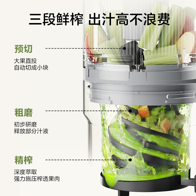 苏泊尔SJ52立式原汁机图片
