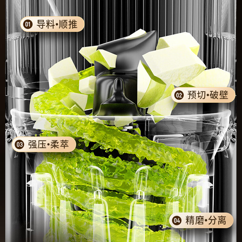 宜盾普DEC-J3立式原汁机图片