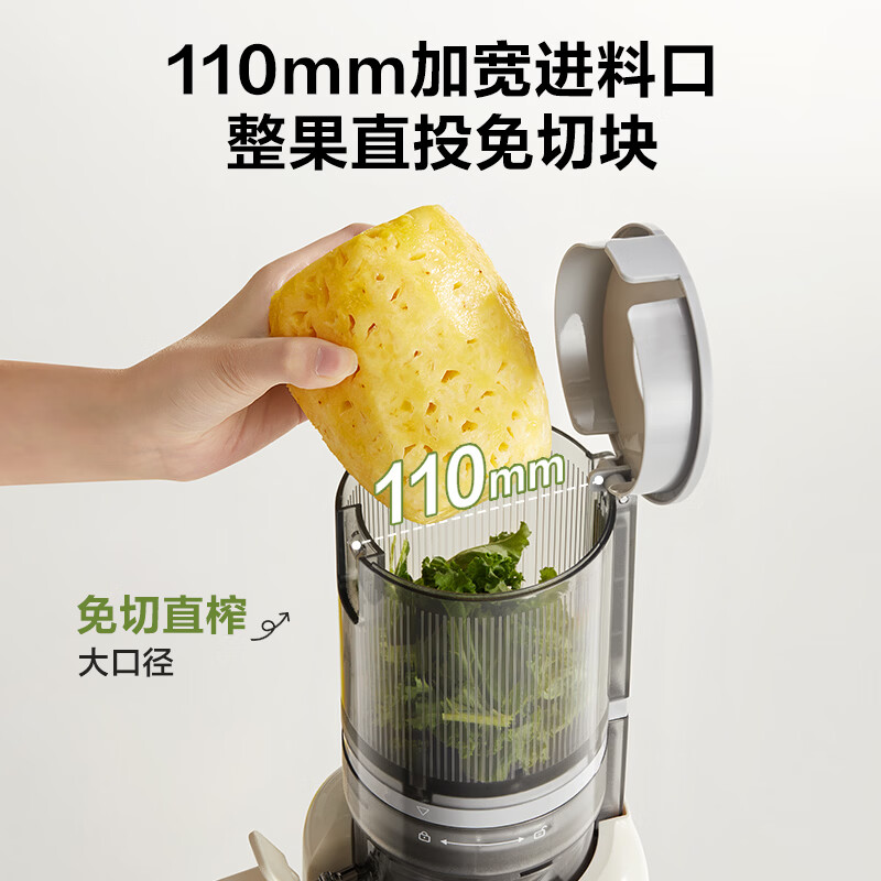 苏泊尔SJ51立式原汁机图片