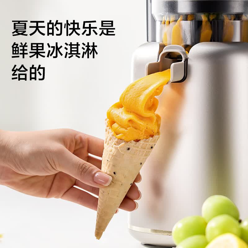 苏泊尔SJ52立式原汁机图片