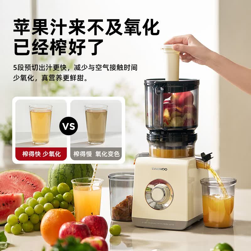 大宇YZ01立式原汁机图片