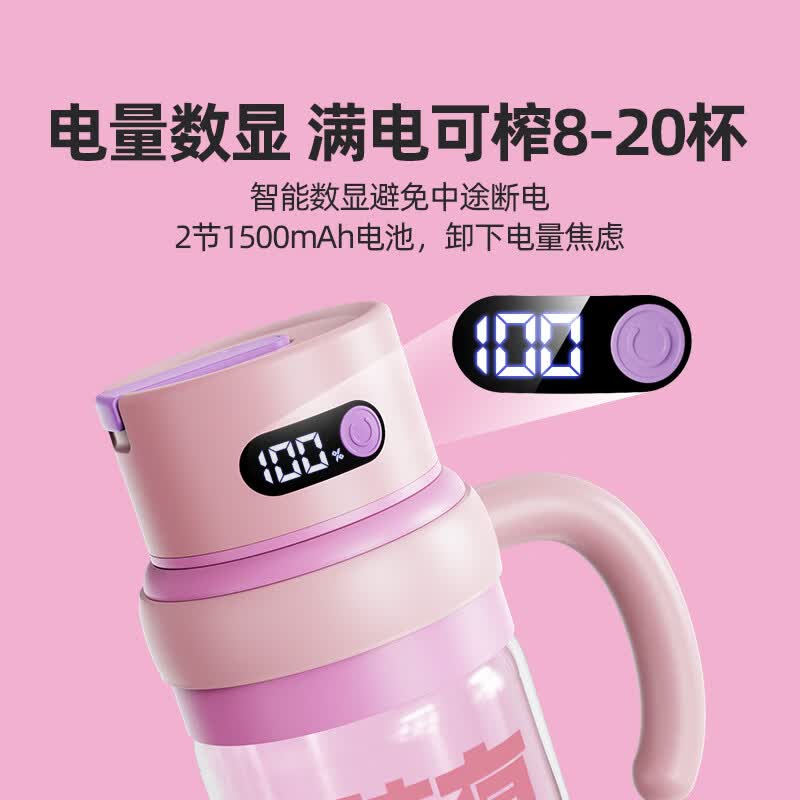 罗娅HT2榨汁机图片