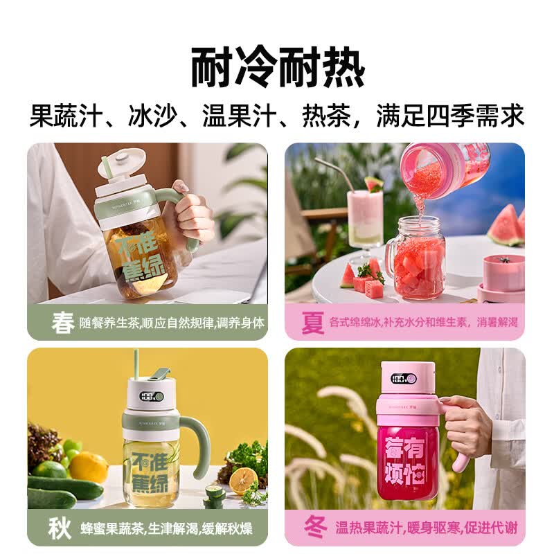 罗娅TB6榨汁机图片