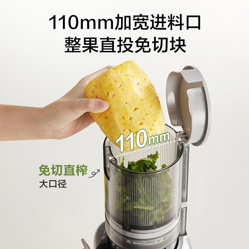 苏泊尔SJ52立式原汁机图片