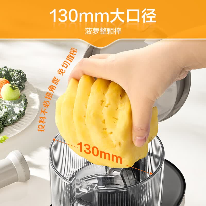 苏泊尔SJ39立式原汁机图片