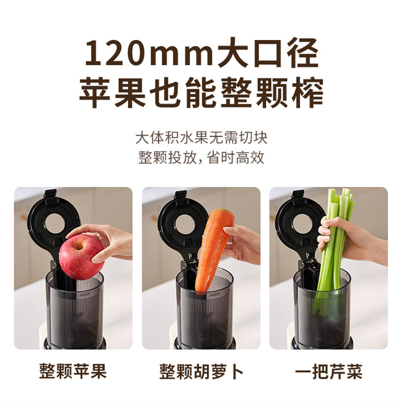九阳LZ5立式原汁机图片