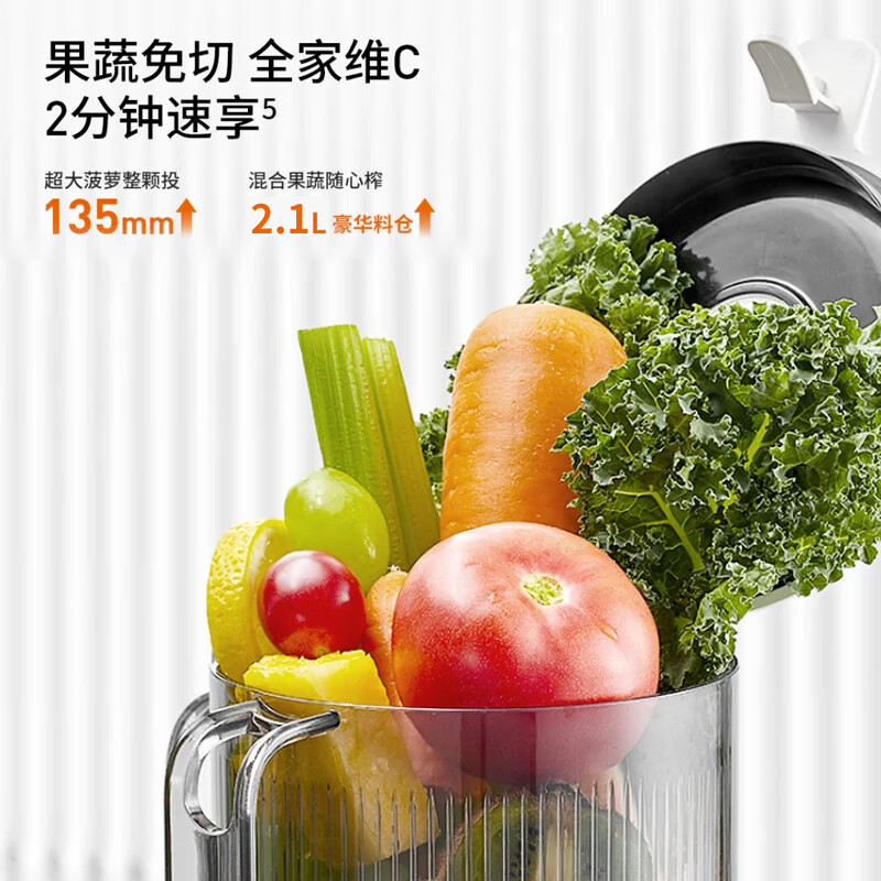 九阳Z13-LZ585榨汁机图片