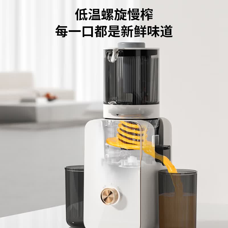 九阳Z13-LZ585榨汁机图片