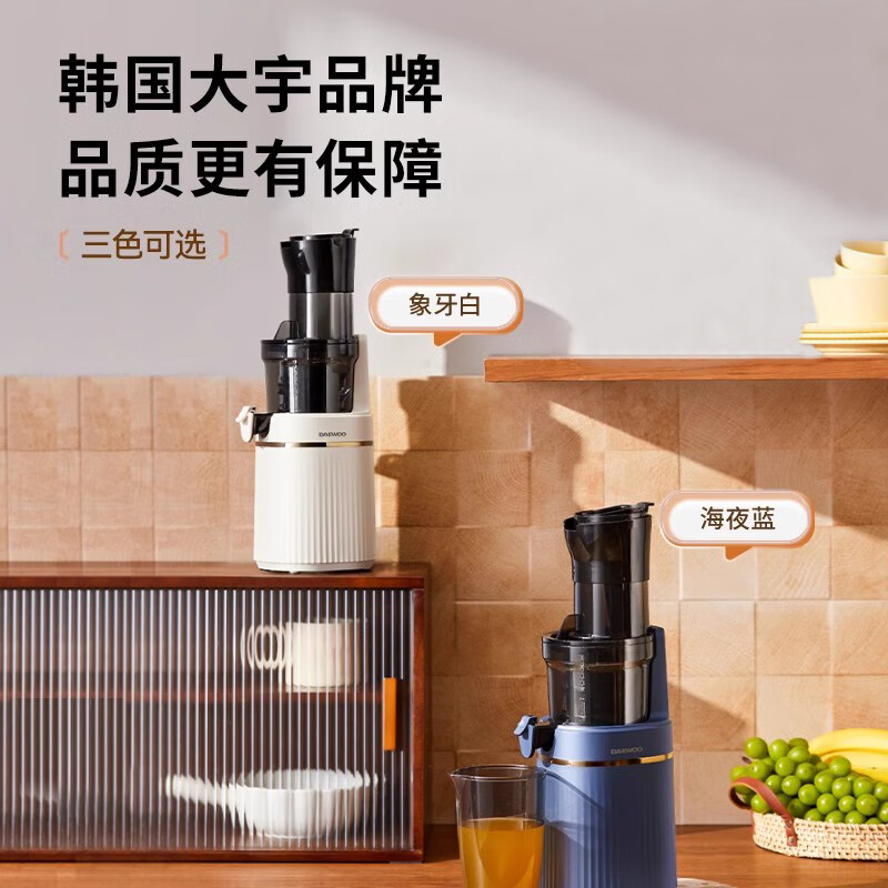 大宇DY-BM07榨汁机图片