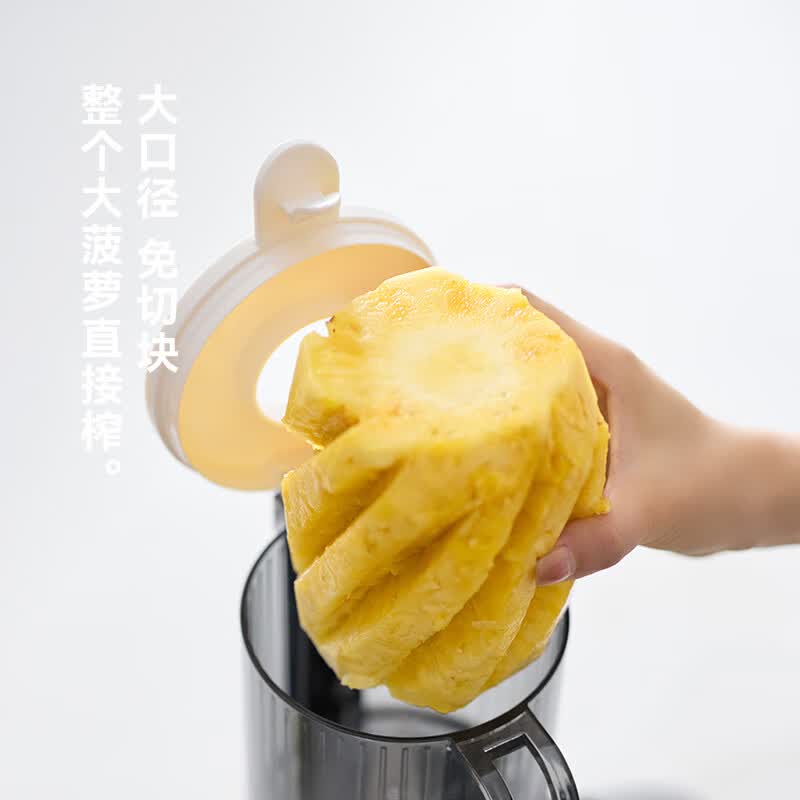 olayksOLK-LJ02榨汁机图片