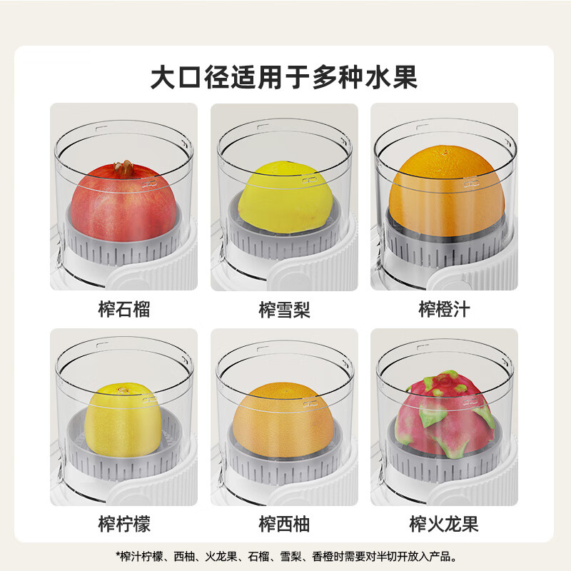 罗娅OT2榨汁机图片