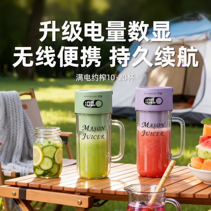 罗娅DMJ6榨汁杯图片