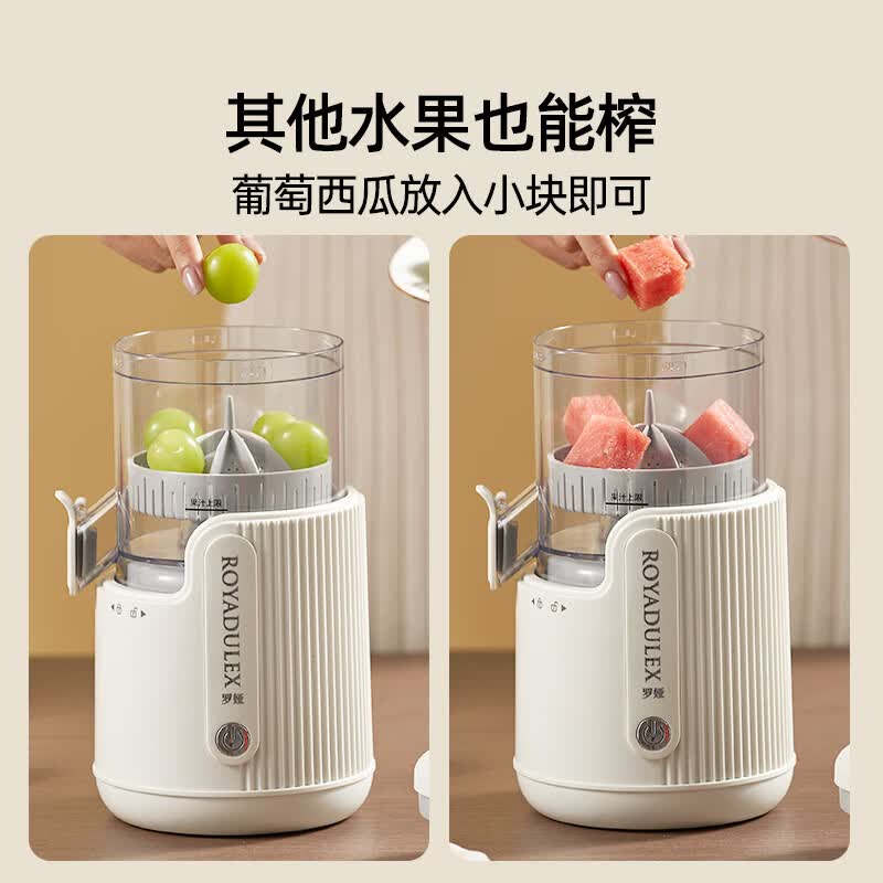 罗娅OT2榨汁机图片