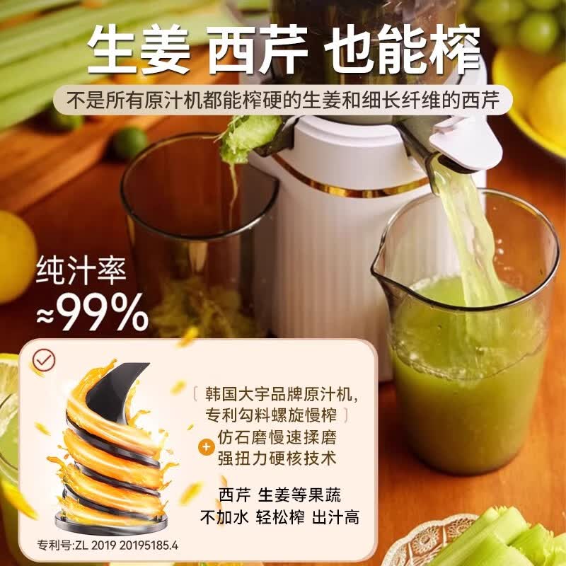 大宇DY-BM07榨汁机图片