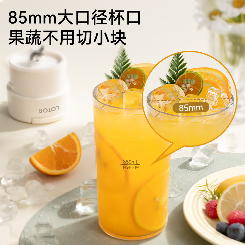 LOTOR徕多LD-GZJ-P35榨汁杯图片