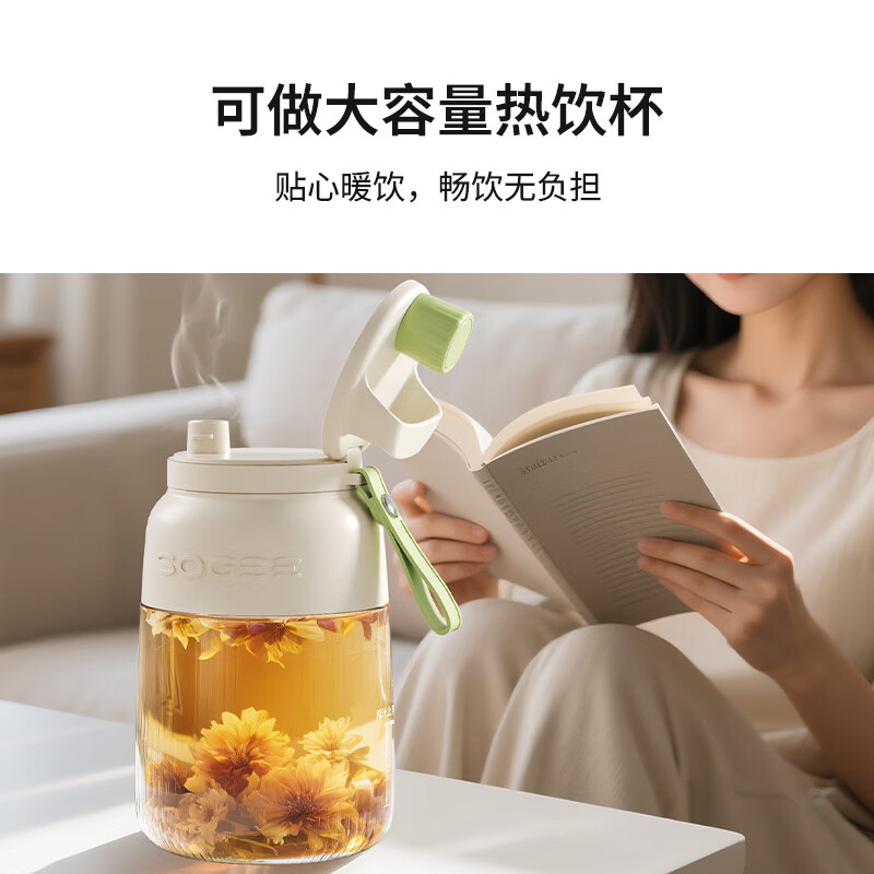 小质GB05榨汁杯图片