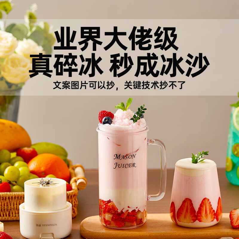 罗娅MJ2榨汁机图片