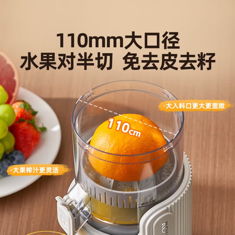 罗娅OT2榨汁机图片