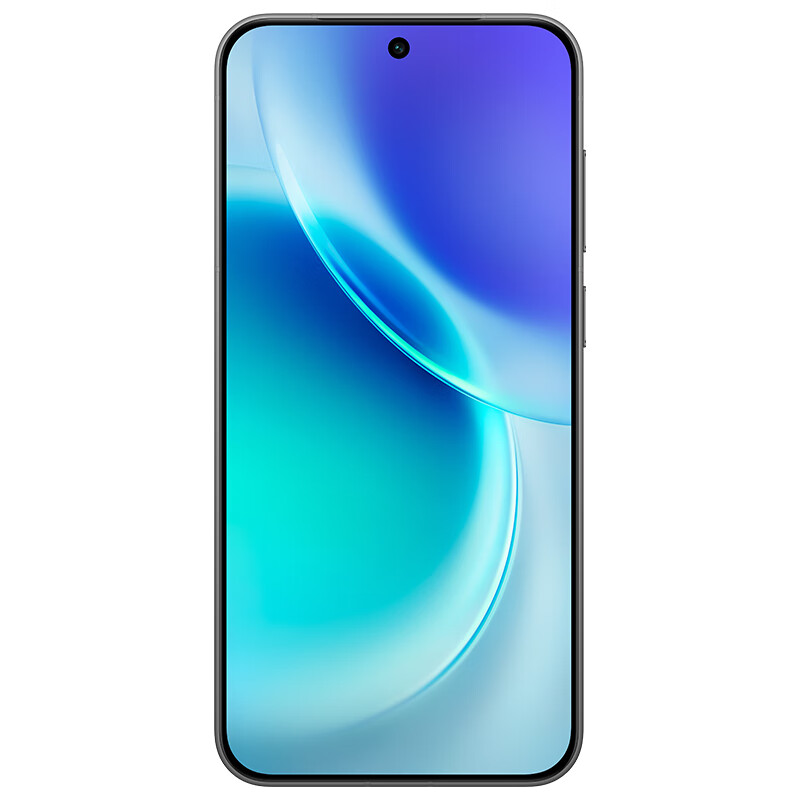 vivo X300 12+512G