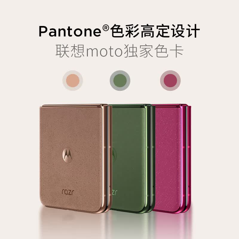 摩托罗拉 razr 60 Pro 12+512G手机图片