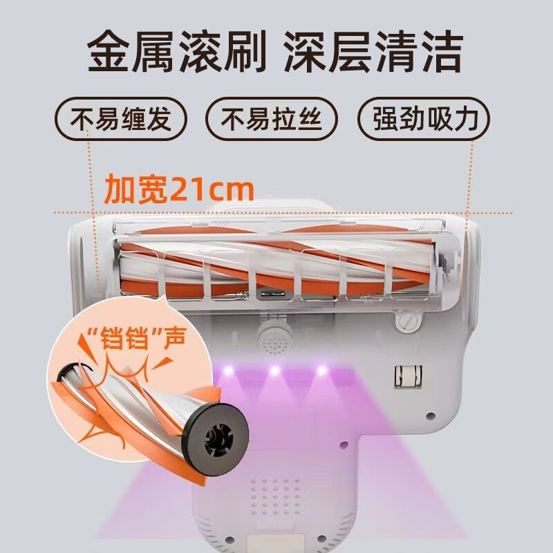 荣事达RS-XCM503A除螨仪图片