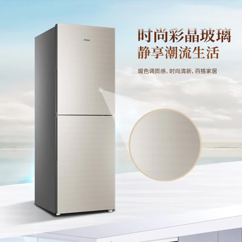 海尔BCD-309WMCO冰箱图片