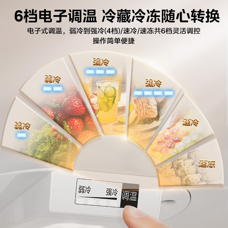美的MR-231T冰箱图片