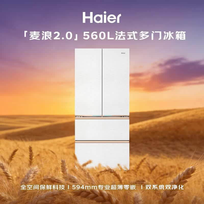 海尔BCD-560WGHFD1BWLU1冰箱图片