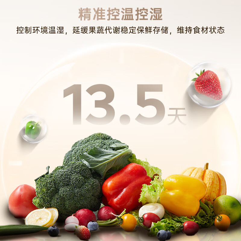 西门子KA98CEA63C冰箱图片