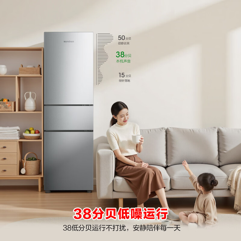 容声BCD-255D20RNLBD冰箱图片