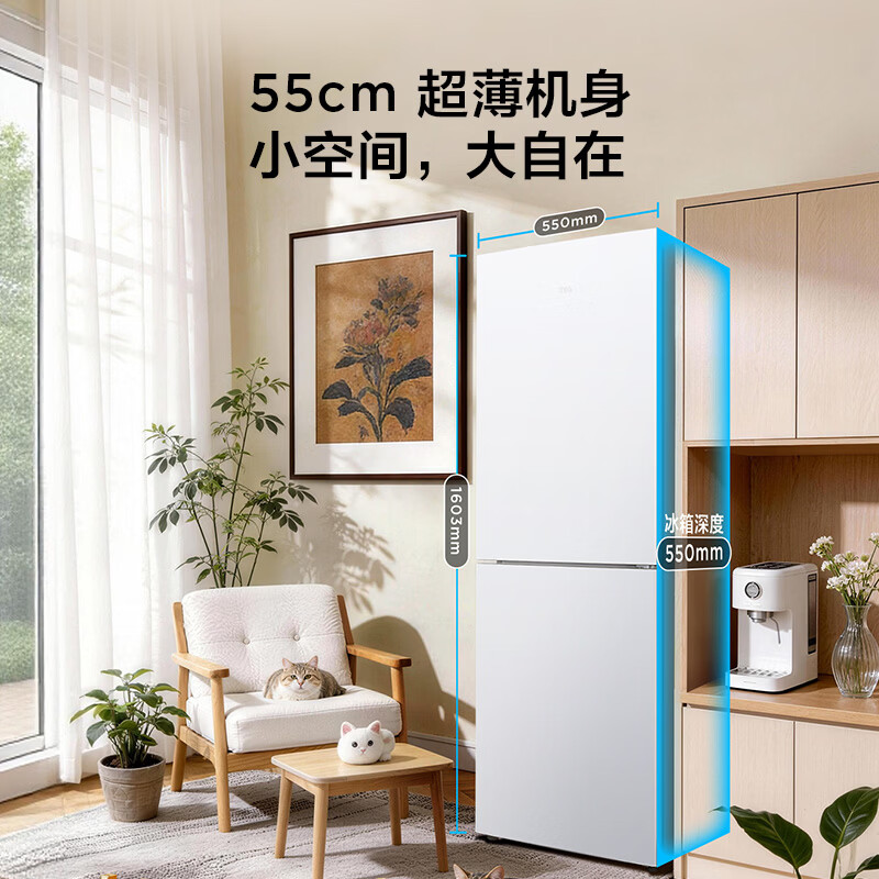 TCL-R190V5-B1冰箱图片