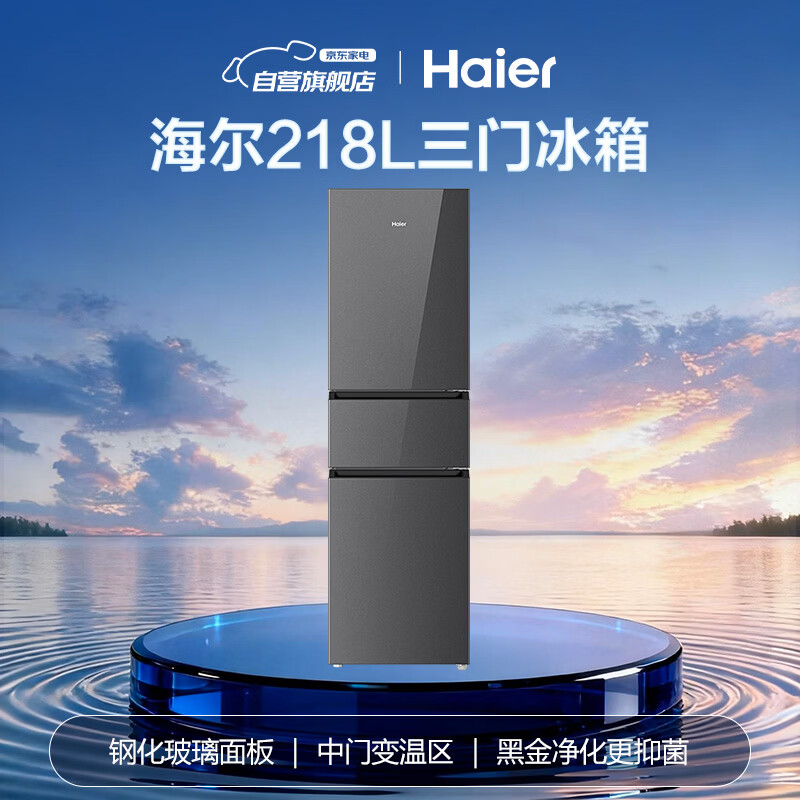 海尔BCD-218WGHC3E9YS冰箱图片