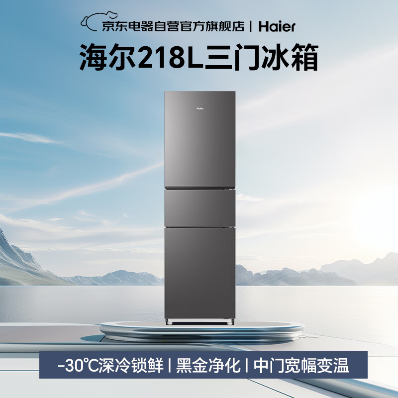 海尔BCD-218WGHC3E9BK冰箱图片