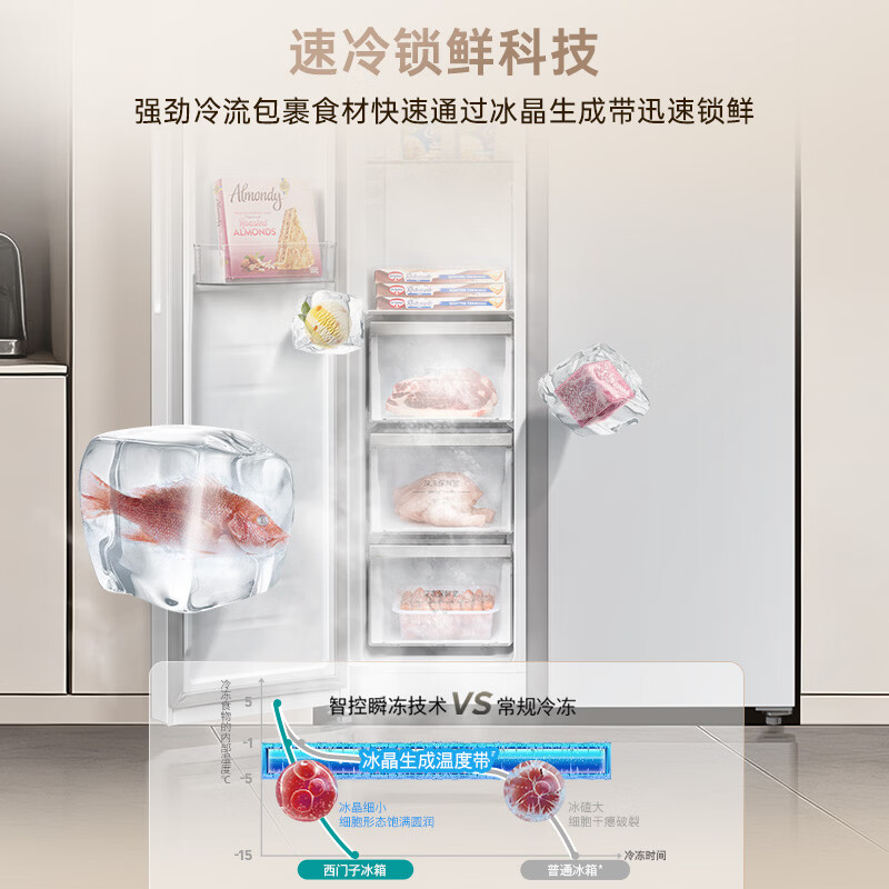 西门子KA98CEA63C冰箱图片